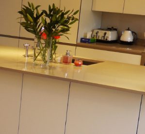 Quartz Worktops In Croydon – Price & Installation!
